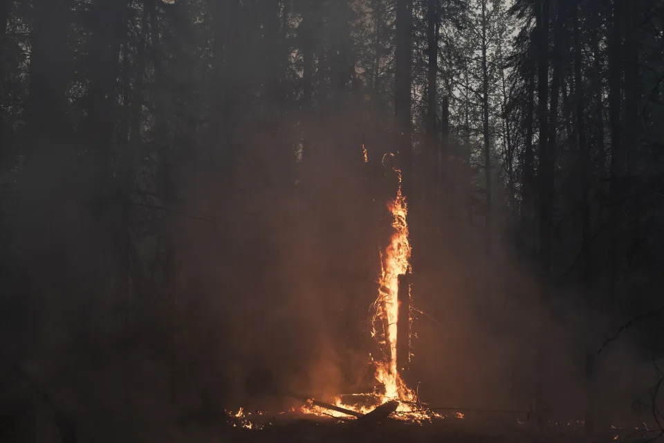 Flames from a prescribed burn, started by wildland firefighters in an attempt to halt the spread of larger wildfires, in Shining Bank, Alberta, Canada on May 19, 2023. (Jen Osborne/The New York Times)