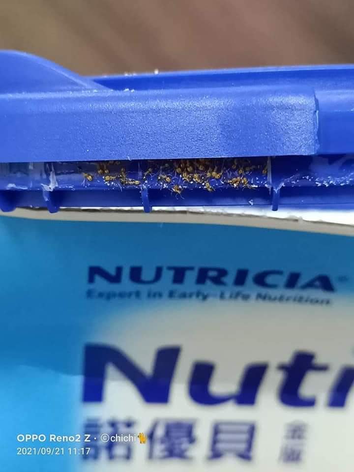 網友回收時才發現，奶粉蓋周圍全是螞蟻屍體。（圖／翻攝自爆怨2公社）