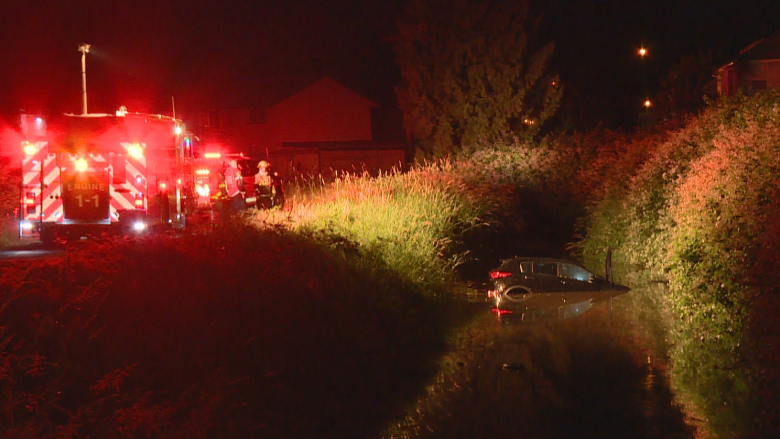 Bystanders help rescue driver after car crashes into water-filled ditch