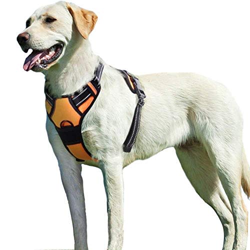 Eagloo No-Pull Dog Harness