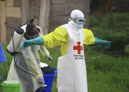 FILE - In this Sunday, Sept 9, 2018 file photo, a health worker sprays disinfectant on his colleague after working at an Ebola treatment centre in Beni, Eastern Congo. Congo’ military said Sunday Oct. 21, 2018, that rebels attacked an Ebola treatment centre in Beni, leaving 13 civilians dead and abducted a dozen children, which could force crucial virus containment efforts to be suspended in the area.(AP Photo/Al-hadji Kudra Maliro, FILE)