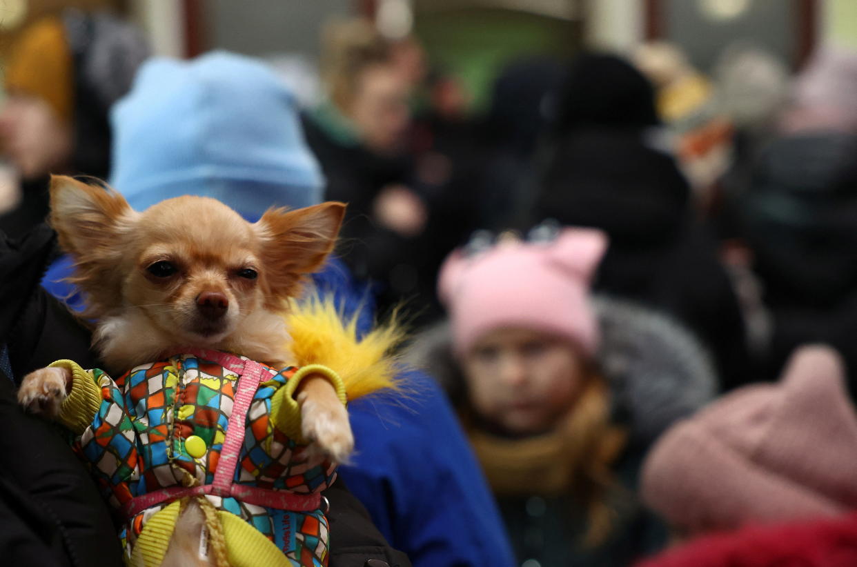 A woman holds her small dog, which is dressed in a colorful jacket.