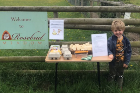 Harry Clare, 5, with his honesty shop: Rosie Clare