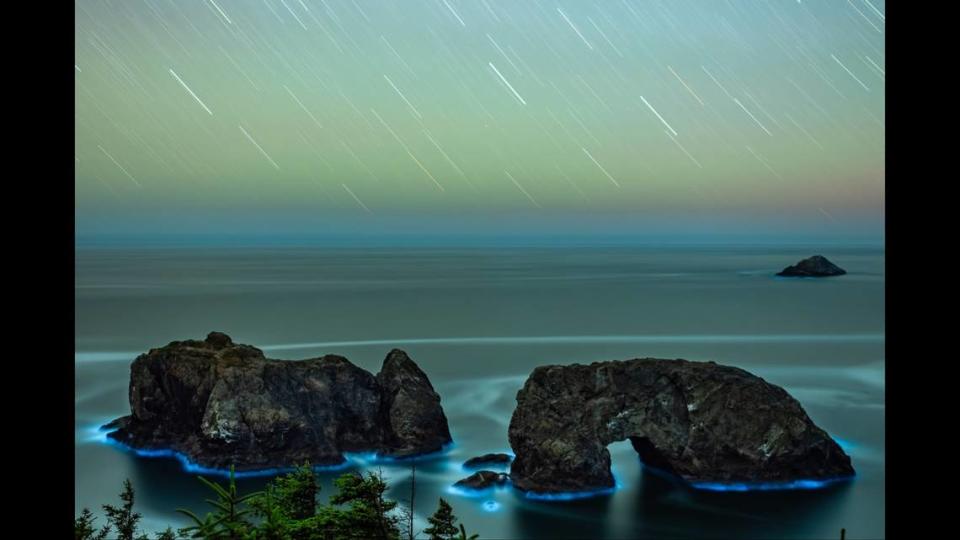 Bioluminescent tides glow around Arch Rock on the Oregon coast as stars wheel overhead in a long exposure photograph.