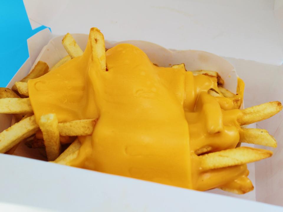 in n out cheese fries