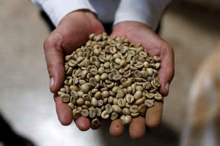 A worker shows coffee beans at coffee company Simexco Dak Lak Limited in the town of Di An