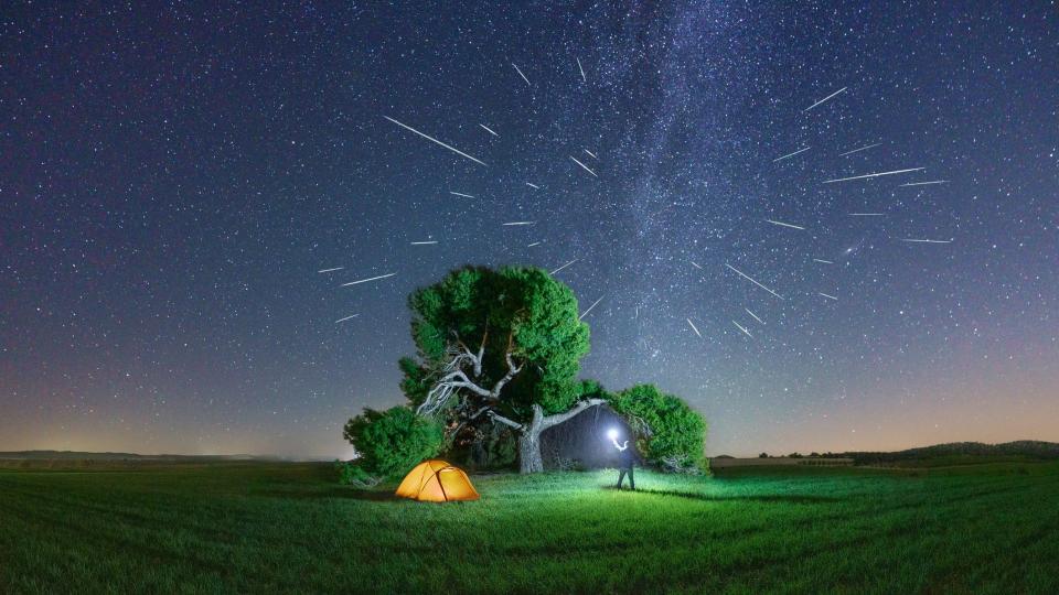     A man holding a flashlight next to a camping tent watches the Perseid meteor shower under a large century-old pine tree. Panorama of the starry sky with the Perseid meteor shower in the agricultural field. The Milky Way in the background. 