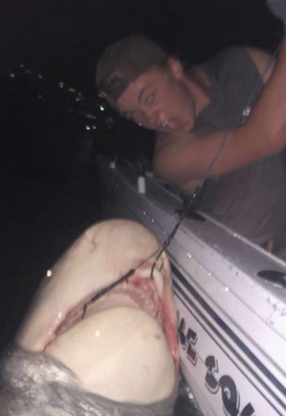 Footage taken on Tuesday shows the shark thrashing in the water and slowly being dragged to the side of the boat. Photo: Facebook/ Kai George