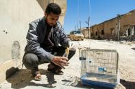 A Syrian collects the body of a dead bird, reportedly killed by a suspected toxic gas attack in Khan Sheikhun, on April 5, 2017