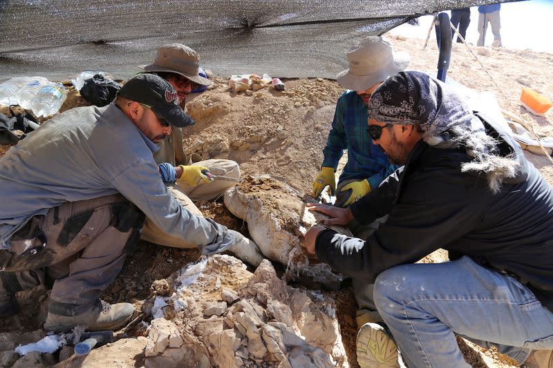 Scientists discover remains of fearsome marine predator at Atacama desert