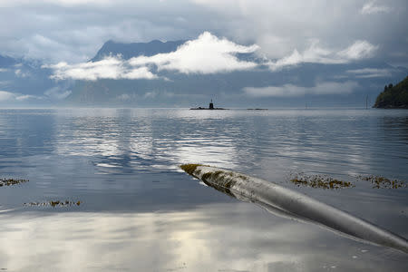 Water is pumped from the Sognefjord to a halibut farm owned by the Glitne company in Bjordal, Norway, July 31, 2018. REUTERS/Clodagh Kilcoyne