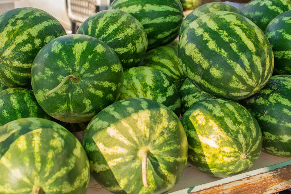 Ist der Stiel an der Melone schon bräunlich und ausgedörrt, ist dies ein Zeichen dafür, dass die Melone reif geerntet wurde. (Bild: Getty Images)