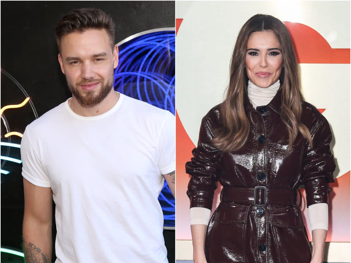 Liam Payne and Cheryl Cole share a five-year-old son named Bear (Getty)