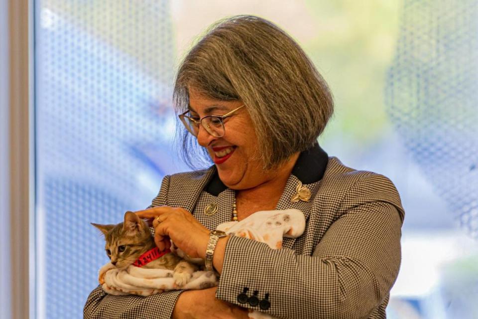 La alcaldesa Daniella Levine Cava sostiene a la gata Tatiana durante una rueda de prensa en Pet Adoption & Protection Center de ASD en Doral, la Florida, el jueves 18 de diciembre de 2022.