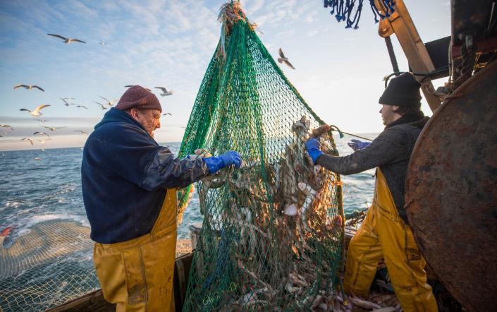 British boats will be allowed to catch 140,000 tonnes of fish worth £280 million next year - Jason Alden/Bloomberg