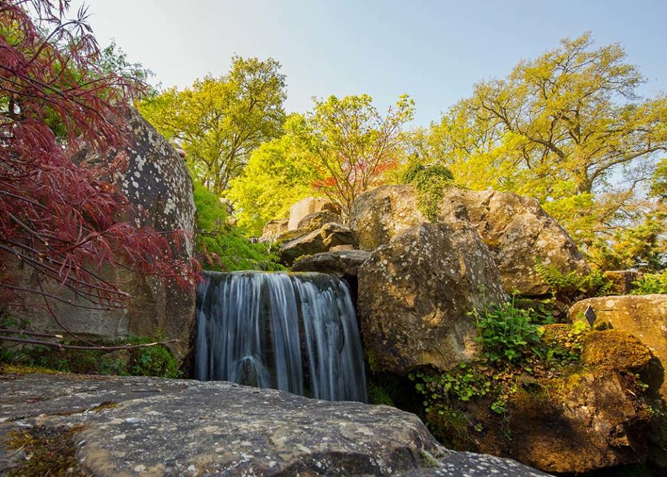 RHS威斯利植物園（Image Source : Getty Creative/iStockphoto）