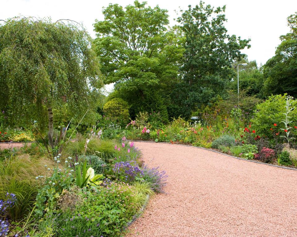 <p> If you've got a large front garden, consider adding a gentle curve to your graveled driveway. It will create a feeling of intrigue and discovery as you approach your home – particularly if you surround the edges with beautiful plants. Shrubs and flowering perennials are your best bets as will hold your interest year after year.  </p> <p> You could even add some of the best trees for small gardens into the mix. Acers, for instance, are a well-loved choice with their blazing autumn color and can be tucked into the center of a border or flowerbed. Birches, with their elegant white branches, are also a favorite of many. </p>