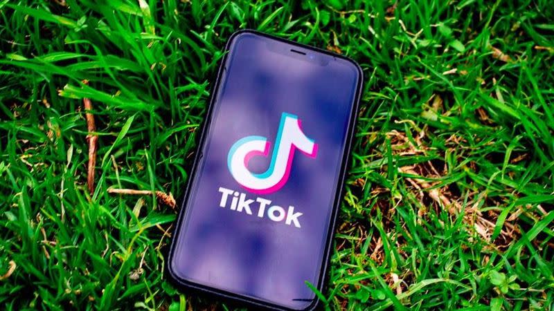 微軟將繼續商討收購TikTok事宜，並在9月15日之前完成商討。（圖／翻攝自Pixabay）