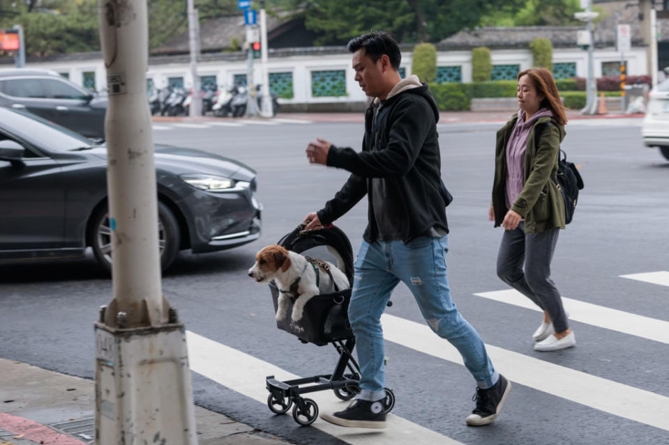 8項交通微罪今起不開放民眾檢舉，其中包括在交岔路口、公車站10公尺臨時停車。（資料照）