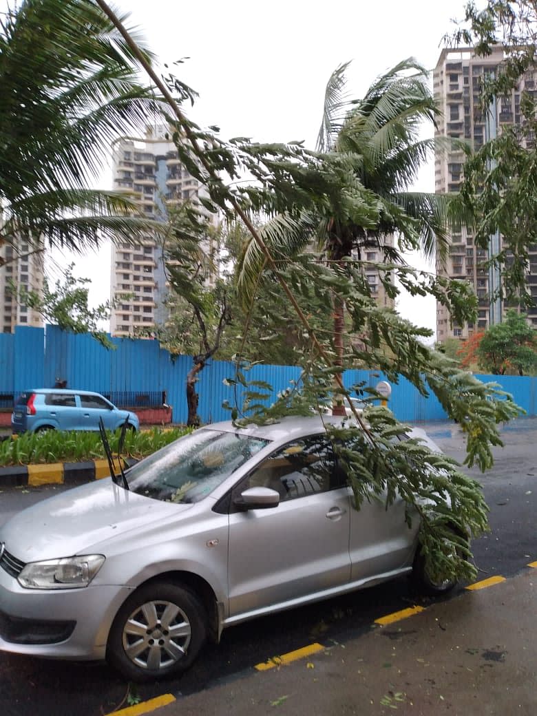 A branch that fell on a car parked in Navi Mumbai.