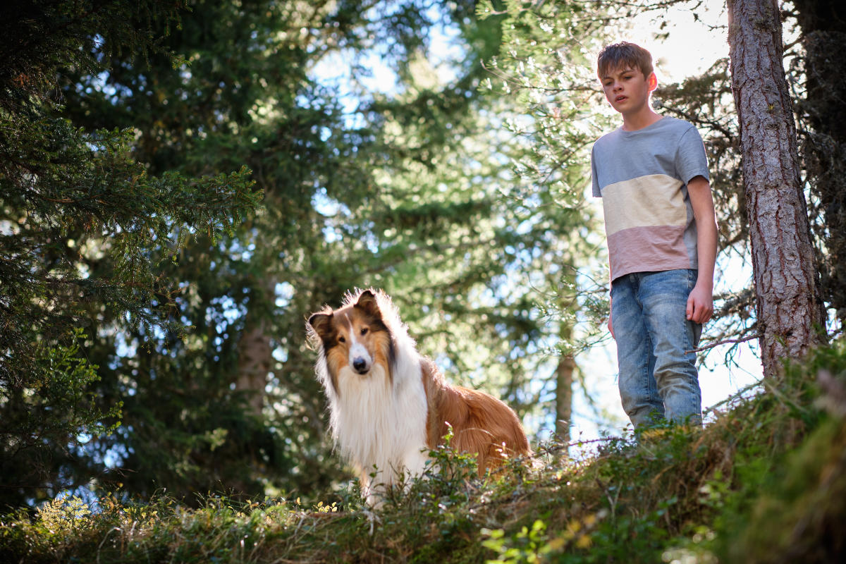 Lassie' makes a welcome return to movies