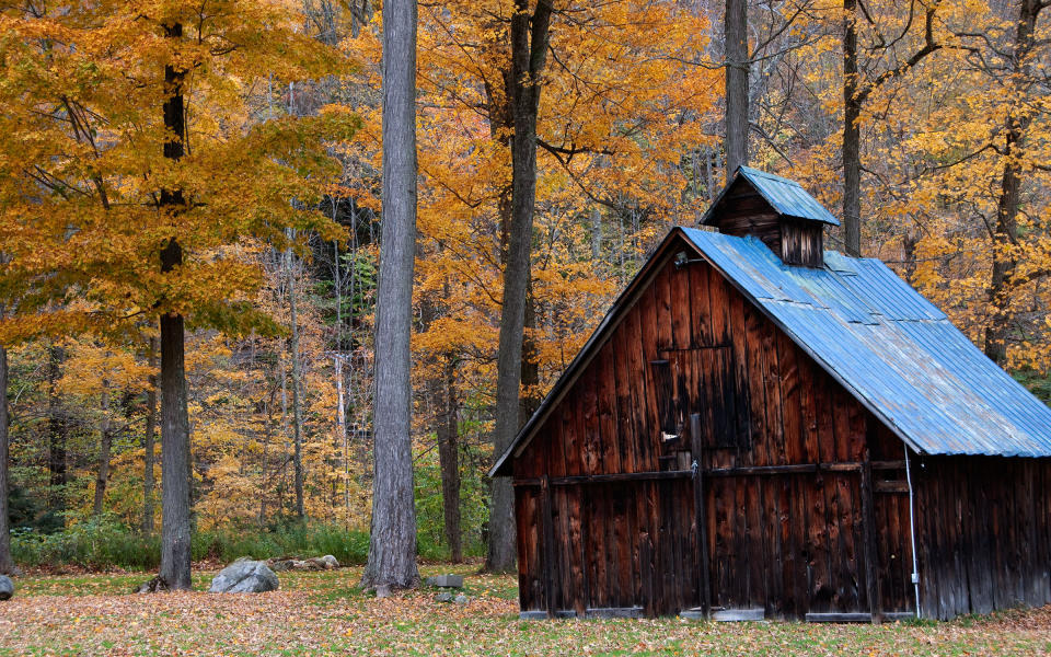 <p>For the quintessential New England fall experience, head to Vermont for changing leaves, apple picking, and idyllic small towns. Route 100 is a 138-mile stretch that runs through much of the Green Mountain State, starting from the Massachusetts border. Drivers will get to see much of the state’s natural beauty: Killington Peak, glittering lakes, and forests aflame with fall colors. The route offers plenty of places for travelers to leave the road and explore some of Vermont’s charming towns and historic sites. Be sure to stop for farm-fresh apple cider, a picnic lunch, or, perhaps most important, a hunk of the state’s famed cheese.</p>