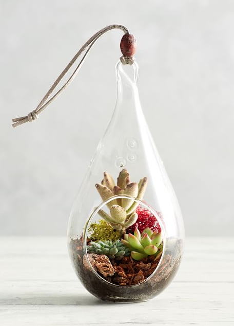 2) Teardrop Terrarium