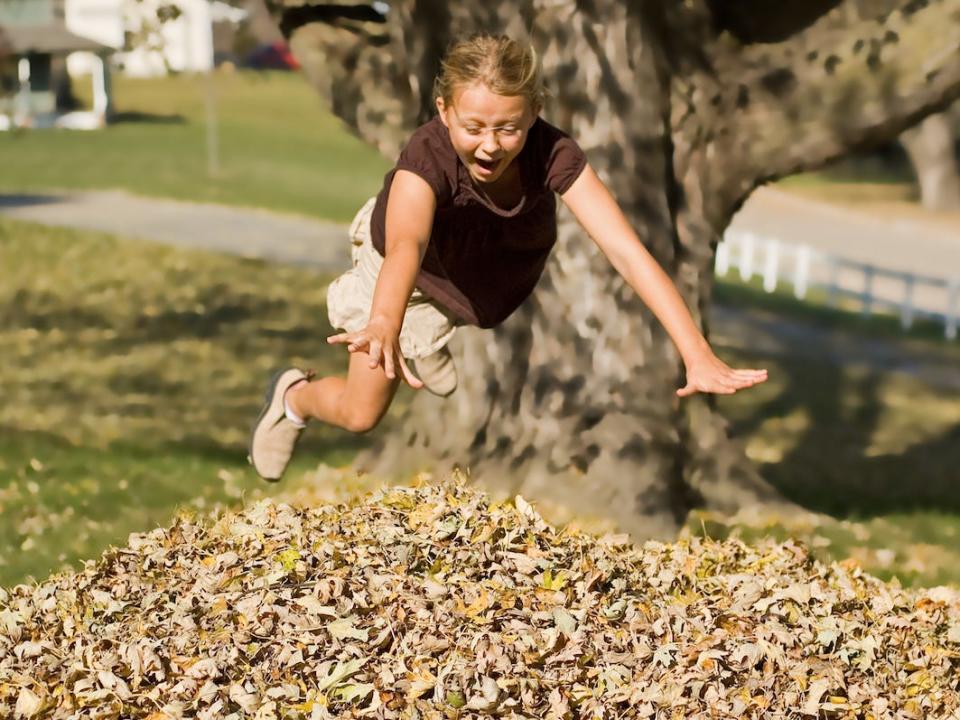 Leaf pile