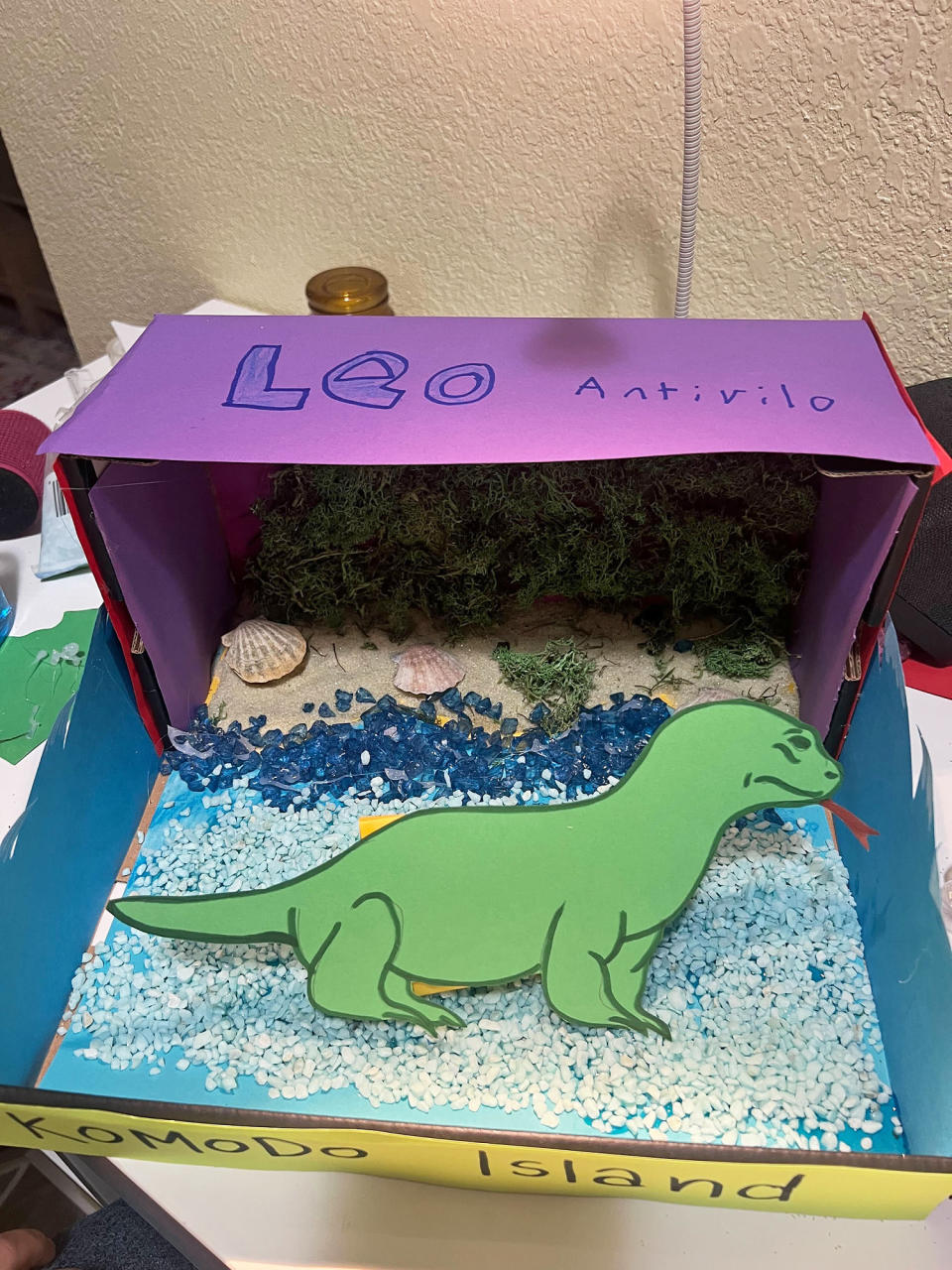 Leo's finished diorama made the teacher's deadline. (Courtesy Gabriela Palacios)