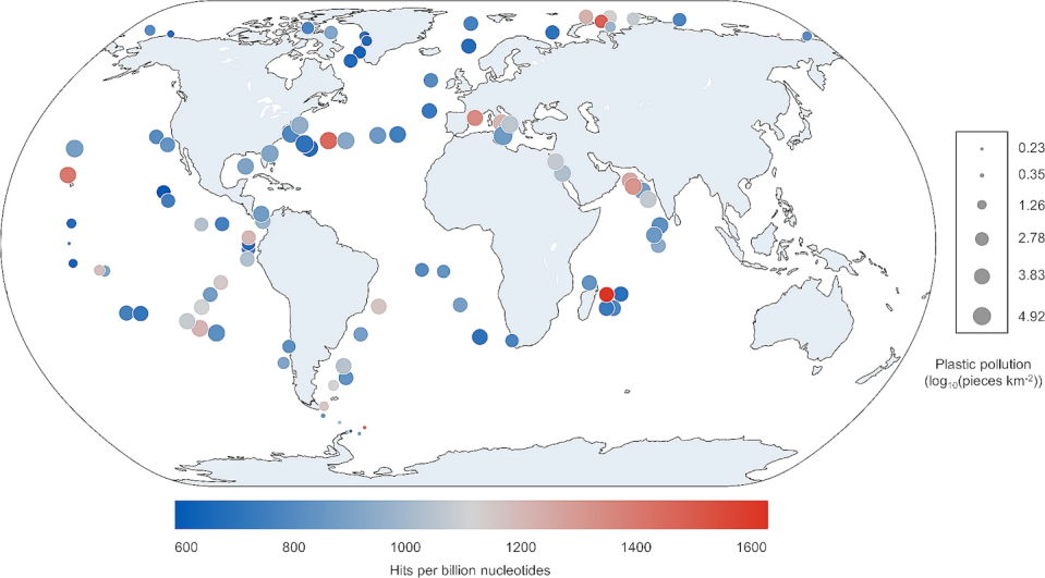 This graph shows that locations with more plastic pollution do not necessarily have higher amounts of enzymes for plastic degradation.