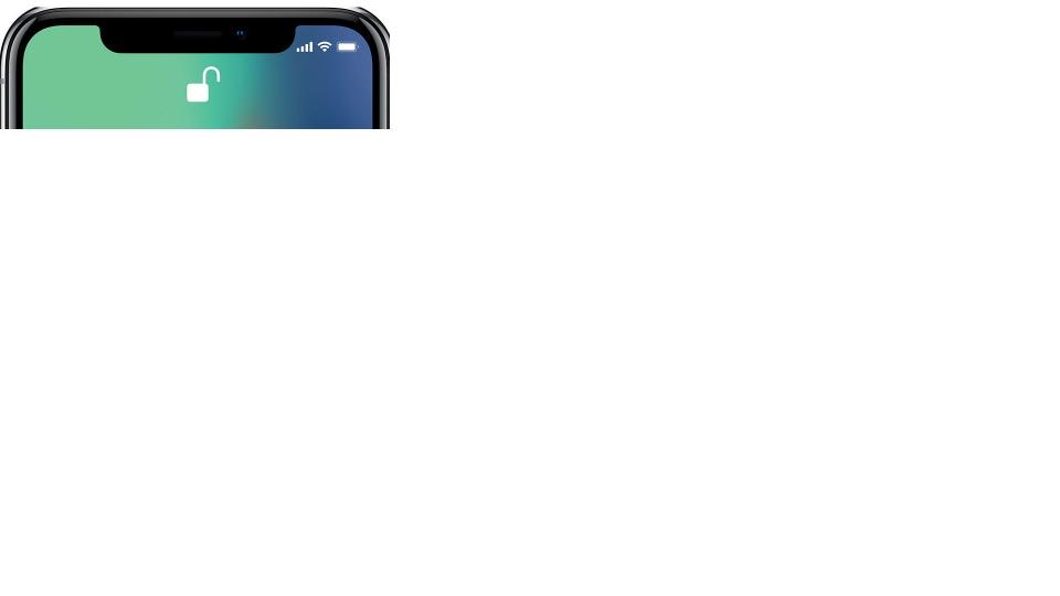 iphone notch