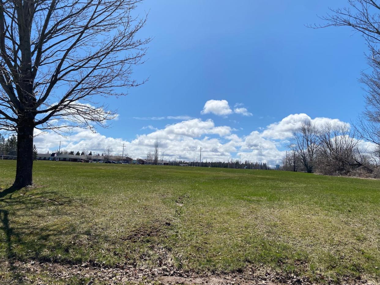 The green space in the middle of the Village of Tatamagouche is 1.6 hectares and has been a place where the community can gather. (James Le Fresne - image credit)