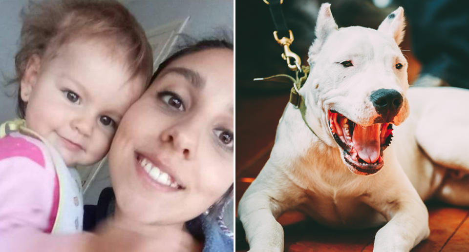 Micaela Rufina Mendoza (left), 1, was mauled to death by her family's Argentinian Dogo (pictured right is a stock image). Source: Newsflash/Australscope