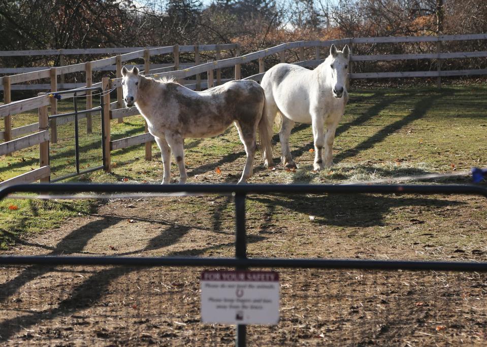 The New Hampshire SPCA campus in Stratham has been expanded and renovated, as seen Friday, Dec. 3, 2021.