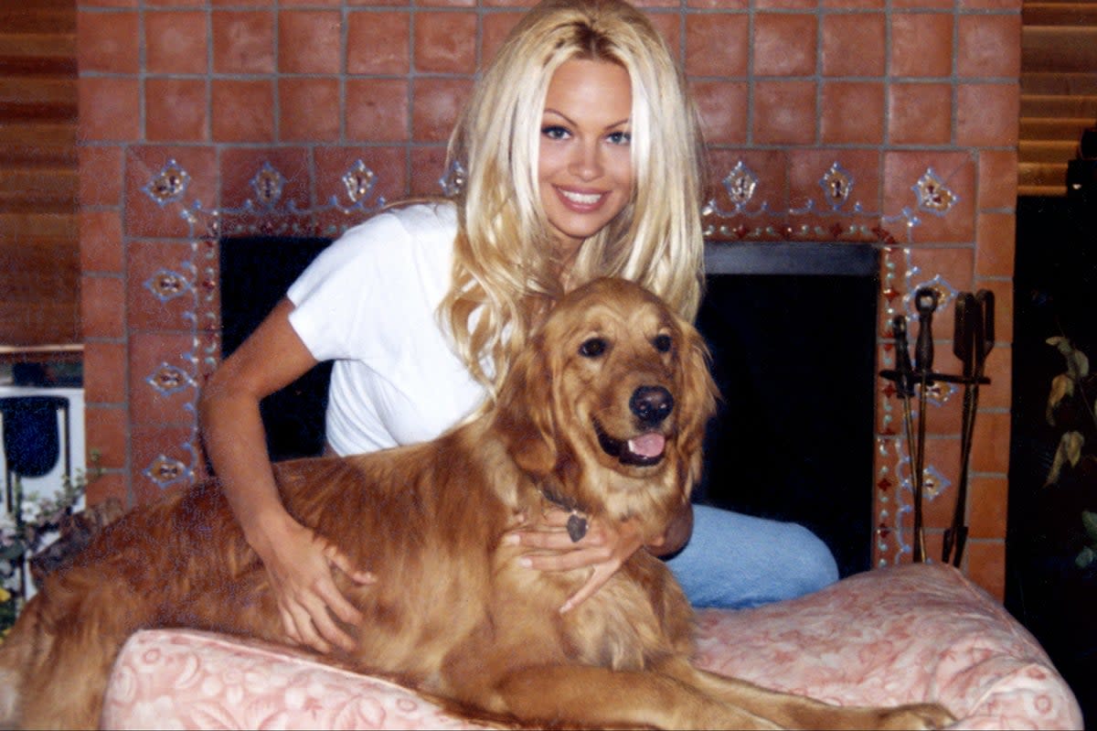 Pamela Anderson (Netflix)