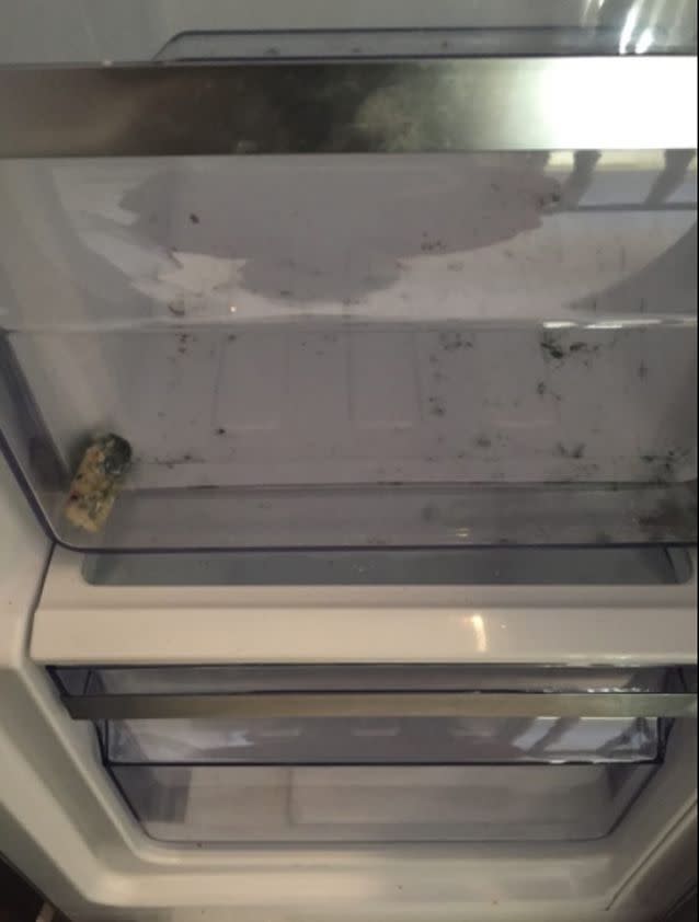 The fridge had mould in it, Ms Forde claims. Source: Jacinta Forde