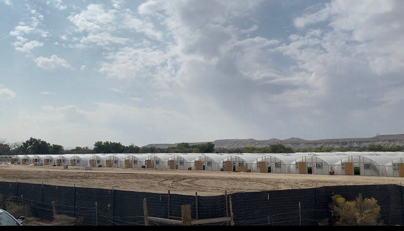 Hoop houses sit empty in 2020 after they were abandoned in Shiprock, New Mexico, by growers implicated in a massive illegal hemp and marijuana operation.