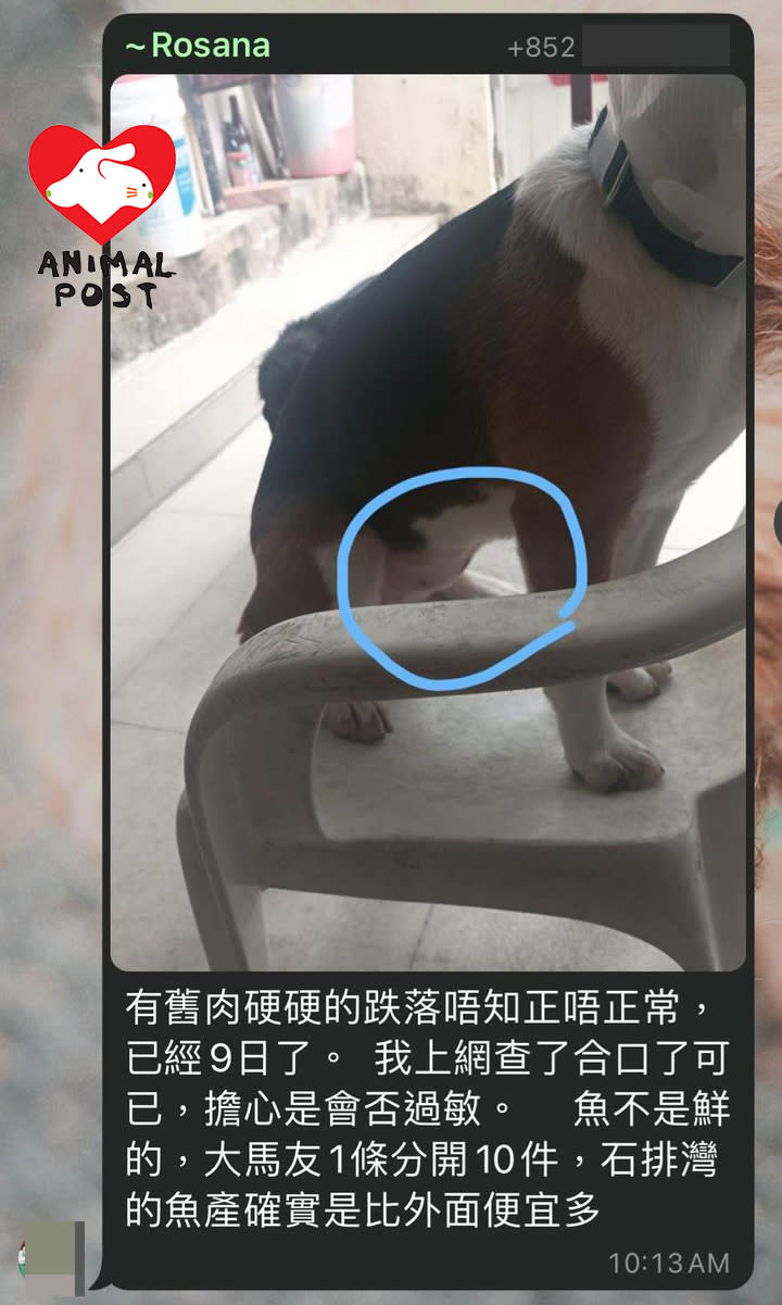 The dog's owner once spoke out in the Begao group, saying that the dog suffered from numerous illnesses.