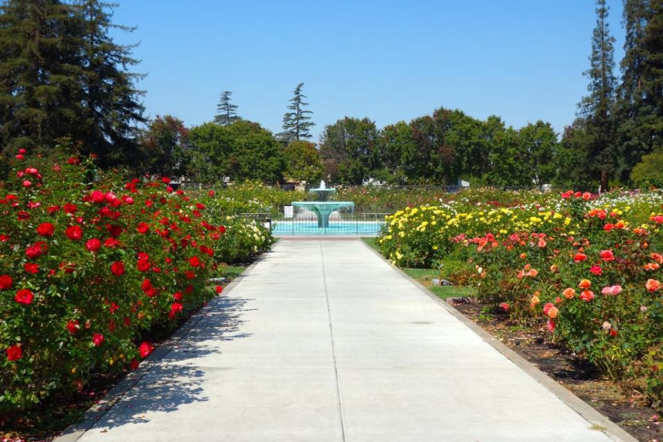 San Jose Municipal Rose Garden via Getty Images