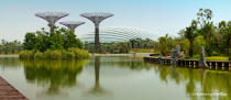 Dragonfly lake (Photo: Gardens by the Bay)