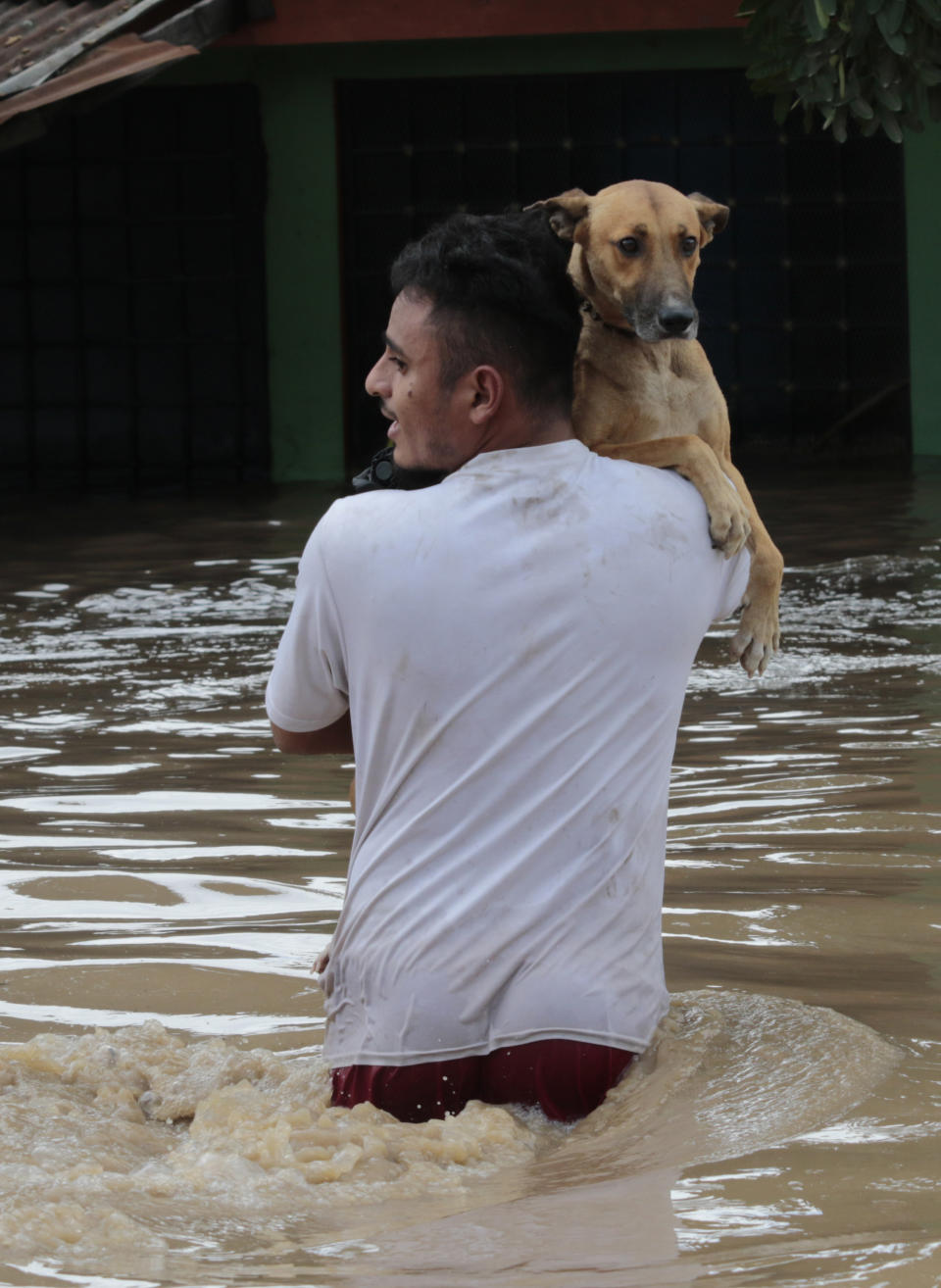 A resident, carrying a dog, wades through flood waters in the neighborhood of Planeta, Honduras, Thursday, Nov. 5, 2020. The storm that hit Nicaragua as a Category 4 hurricane on Tuesday had become more of a vast tropical rainstorm, but it was advancing so slowly and dumping so much rain that much of Central America remained on high alert. (AP Photo/Delmer Martinez)