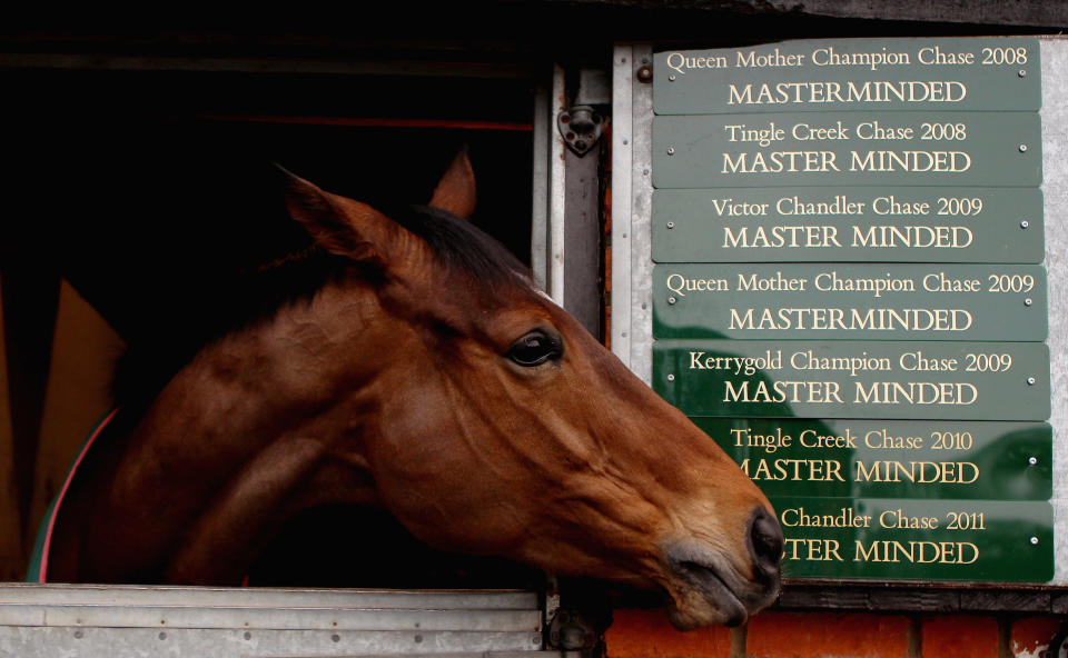 Masterminded in the stables on February 21, 2011 in Shepton Mallet, England. (Photo by Scott Heavey/Getty Images)