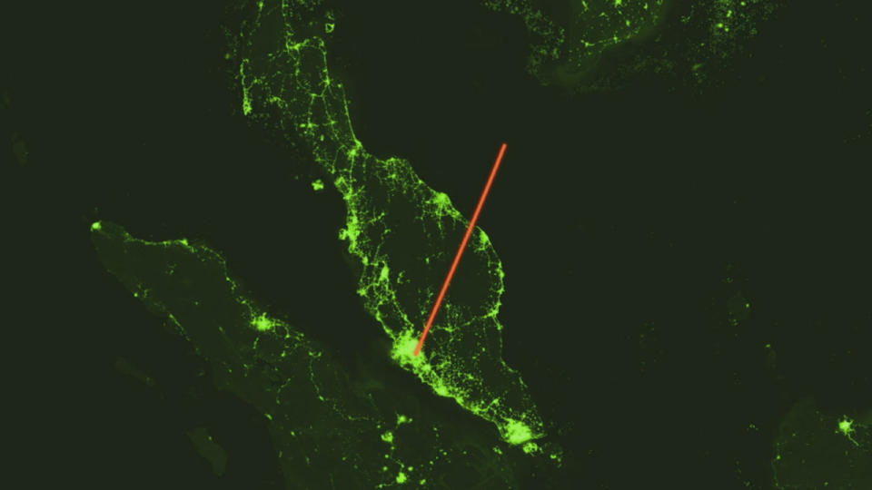 The path of Malaysian Flight 370 before it disappeared in Lost: MH370