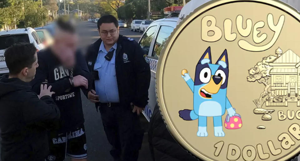 A limited edition release of Bluey coins will go ahead after the arrest of a man who allegedly stole more than $600,000 worth