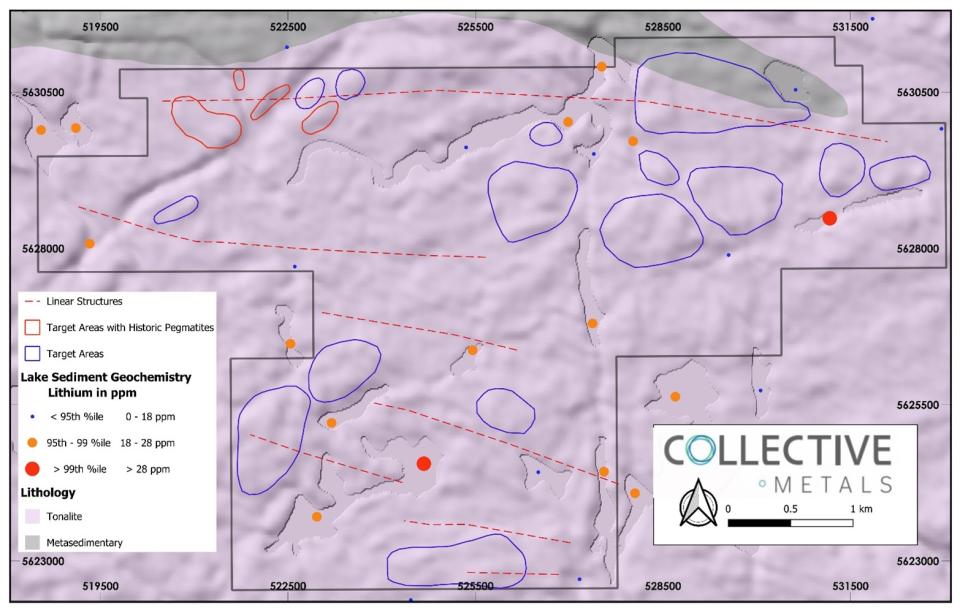 Property Map of Whitemud Lake Showing Selected Target Areas for Field Exploration.