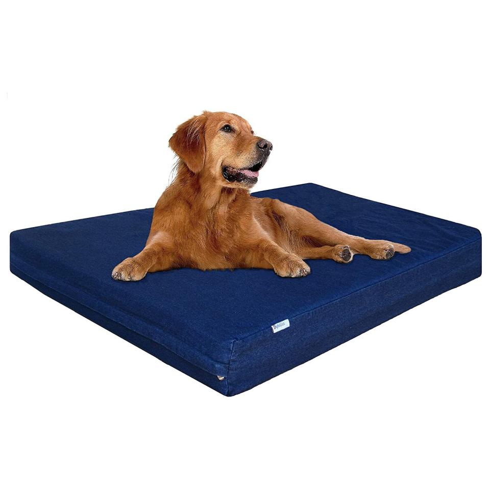 Dogbed4less Premium Memory Foam Dog Bed