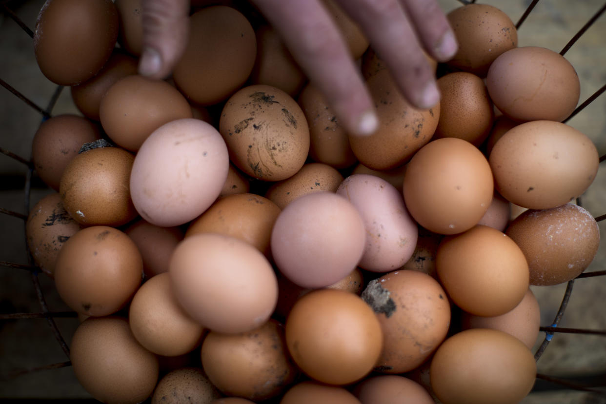 Many Coles and Woolworths shoppers have noticed the periodic lack of eggs on shelves.