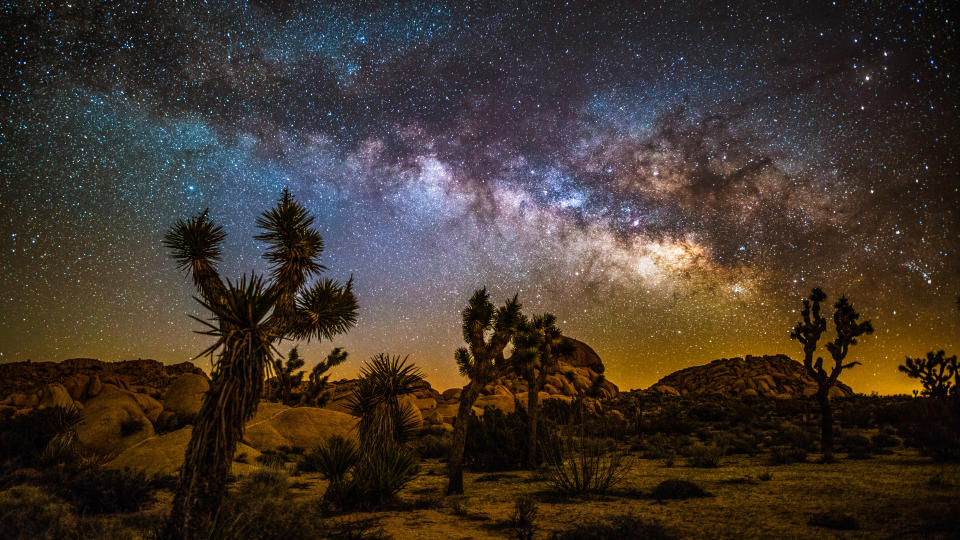 Night landscape with colorful Milky Way over the desert of Joshua Tree national park in California, USA.