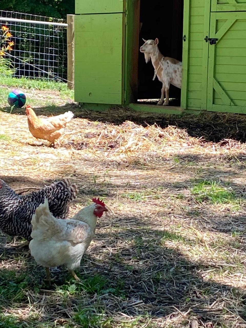 Fibonacci Brewing Company's location doubles as an urban farm.