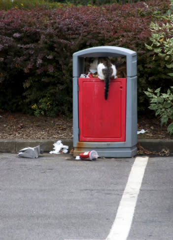 Freshen the trash can or diaper pail